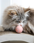 Smart Ball