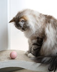 Smart Ball