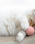 Smart Ball