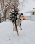 BambooStick