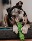 BambooStick