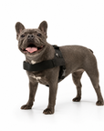 Anti-Pulling Harness
