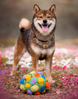 FurryBomb