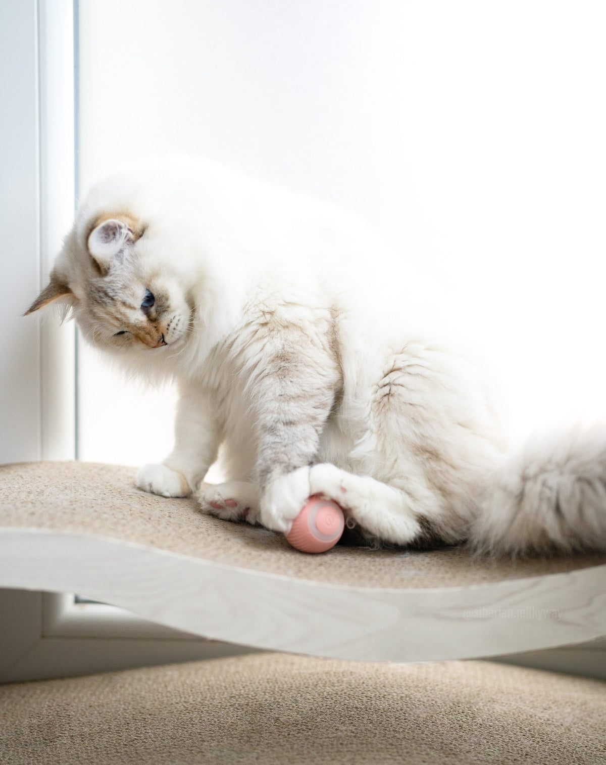 Smart Ball