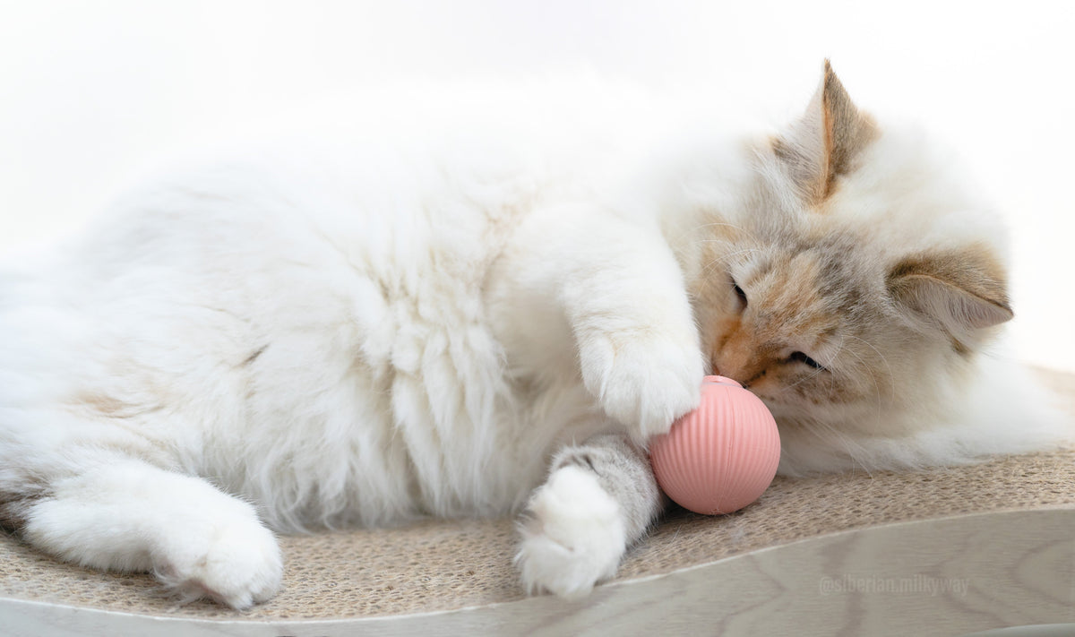 Smart Ball