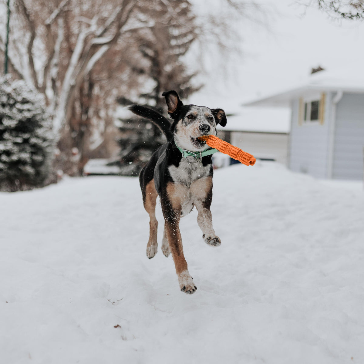BambooStick