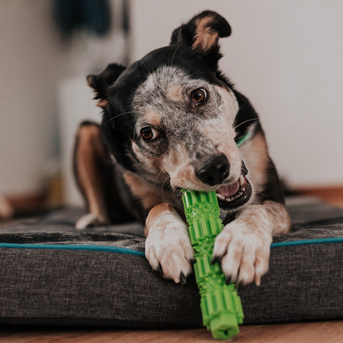 BambooStick