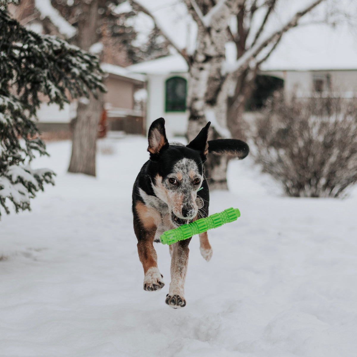 BambooStick