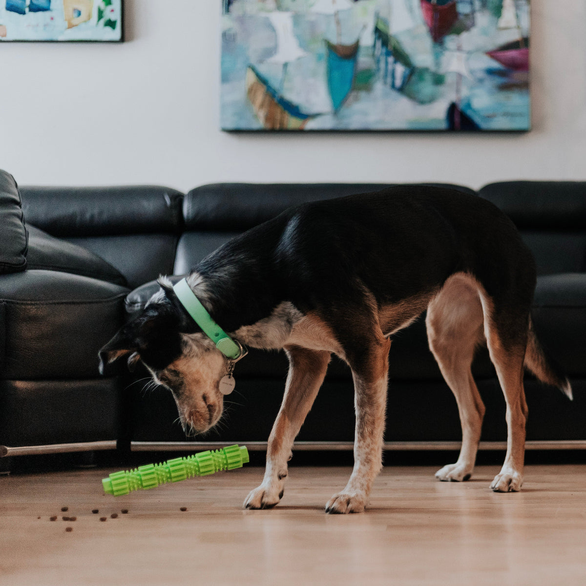 BambooStick