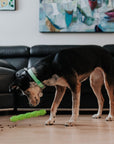 BambooStick