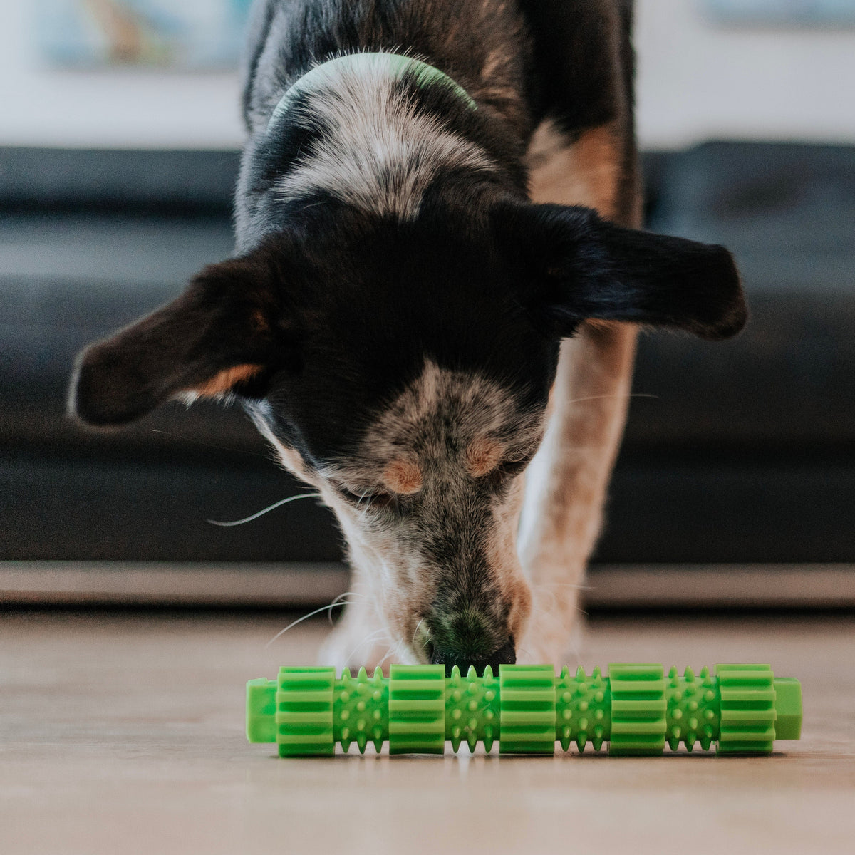 BambooStick