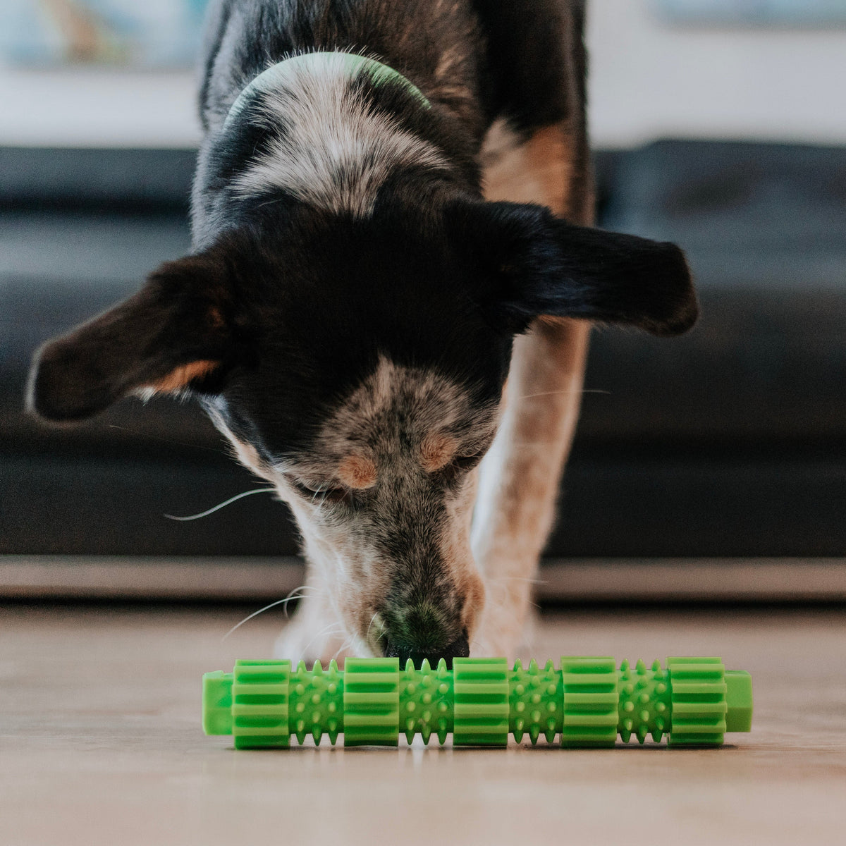 BambooStick