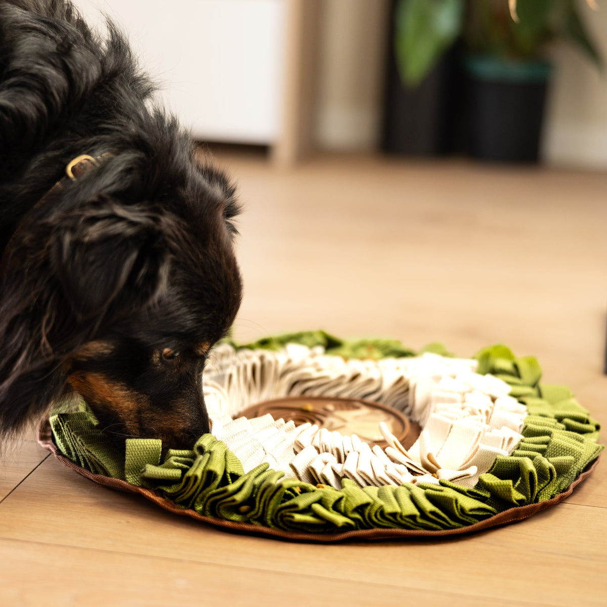 WildOasis Enrichment Mat