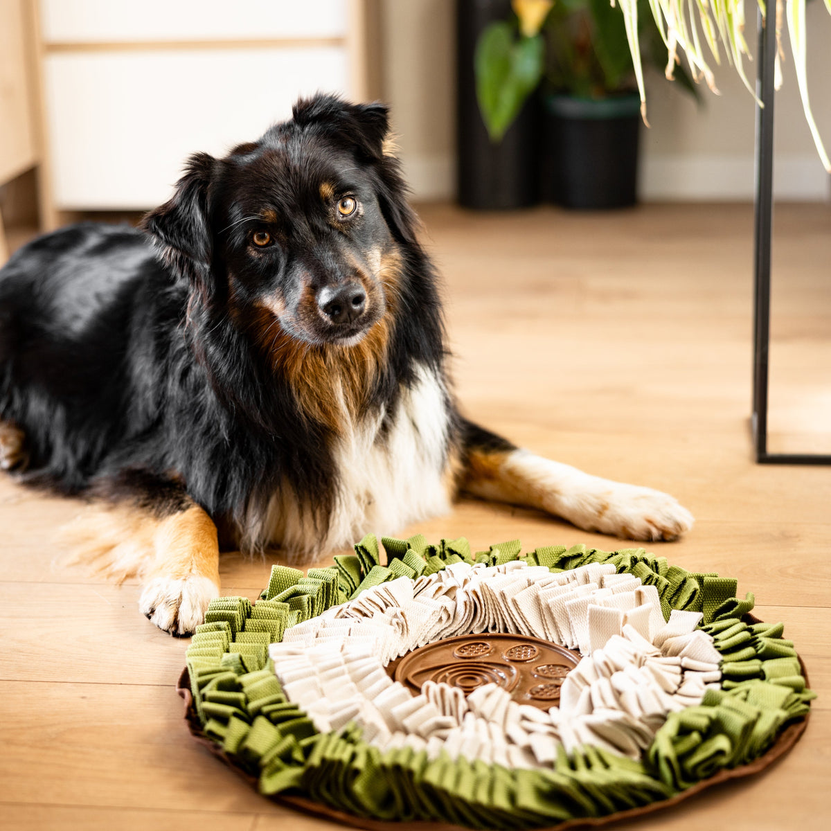 WildOasis Enrichment Mat