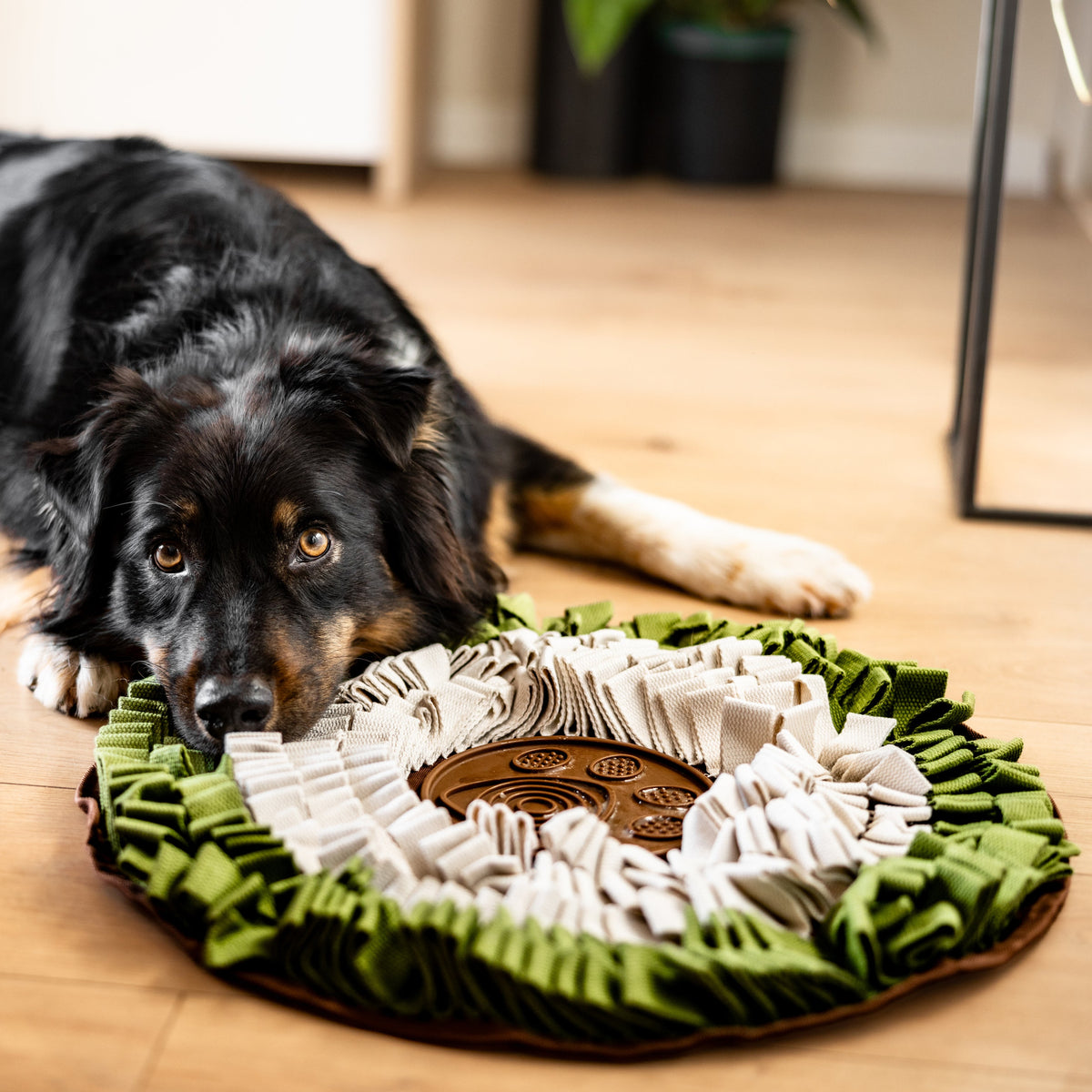 WildOasis Enrichment Mat