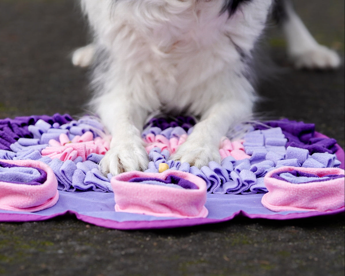 Lavender Dreams Snuffle Mat