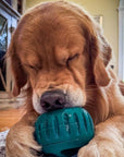 Pupsicle Pops