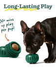 Pupsicle Pops