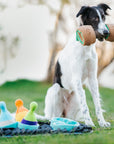 Pawlympics Training Mat