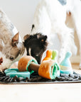 Pawlympics Training Mat
