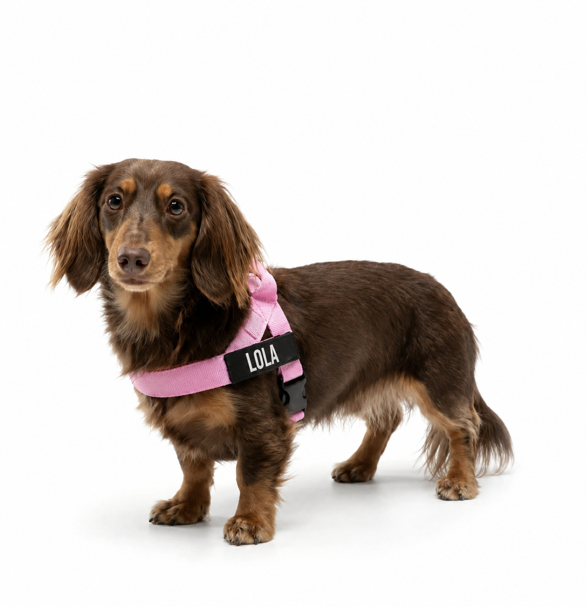 Anti-Pulling Harness